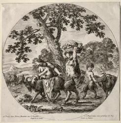 Une famille de satyres en voyage