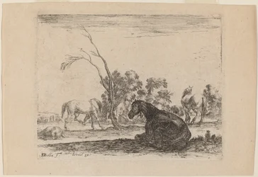 Chevaux dans un Pâturage
