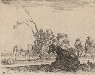 Chevaux dans un pâturage, 1642