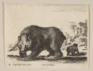 Planche 4 : ours, de 