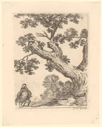 Cavalier vu de dos sous un grand arbre
