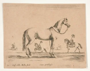 Cheval sans cavalier, avec cavaliers faisant du dressage en arrière-plan