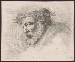 Étude de la tête d