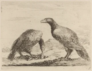 Deux aigles, l