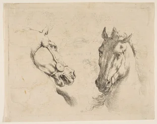 Deux têtes de cheval, vers 1649