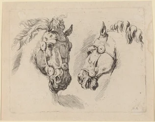 Deux têtes de cheval, probablement 1649