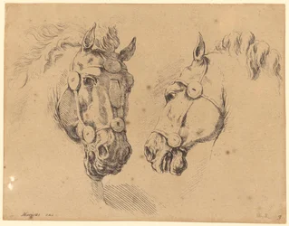 Deux têtes de cheval