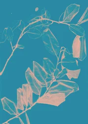 Freyr VI Dawn, 2018 (numérique)