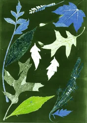 Jol X vert, 2017 (numérique)