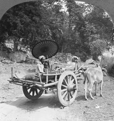 Famille voyageant dans la jungle près de Mingun, Birmanie