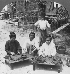 Fabrication des énormes cigares fumés par les femmes, Birmanie, 1908