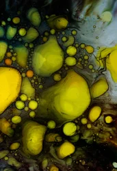 Peinture à l