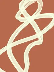 Lignes abstraites fluides