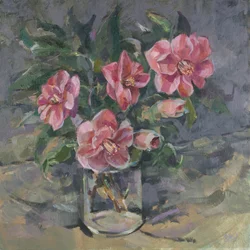 Camélias