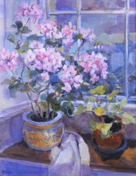 Géranium rose sur le siège de la fenêtre, 1996