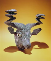 Tête de taureau, d