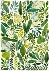 Assortiment de feuilles végétales
