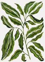 Feuilles vertes bio