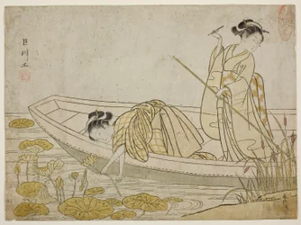 Cueillette de fleurs de lotus