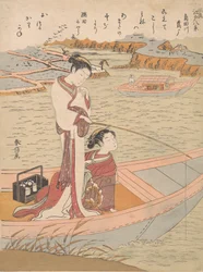 Oies sauvages volant au-dessus de la rivière Sumida