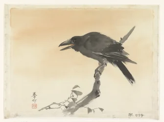Corbeau