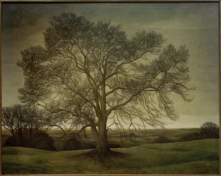 Paysage 1901
