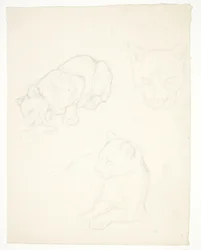Trois études d