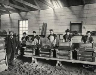 Mélange de dynamite, Ardrossan