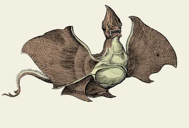 Monstre marin fantastique, illustration de 