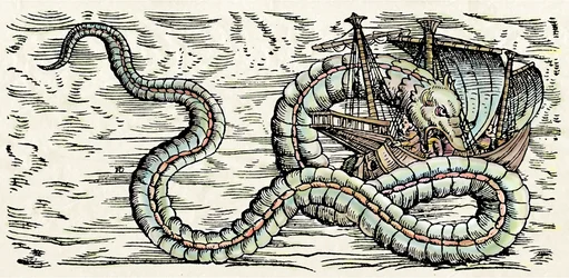 Monstre marin, illustration de 