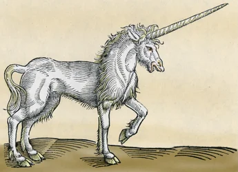 Licorne, illustration de Historiae Animalium par Conrad Gesner, 1551