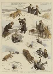 Saint Bernard au secours