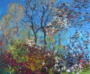 Fleurs et ciel bleu