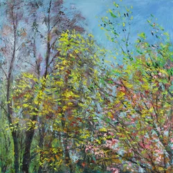 Feuilles délicates du printemps