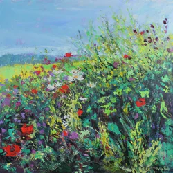 Bord de la prairie