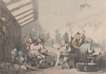 La salle de dissection