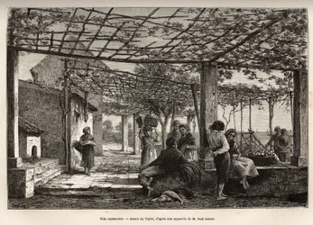 Villa Menton, gravure d