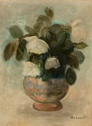 Roses blanches
