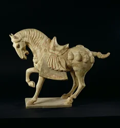 Cheval, chinois, dynastie Tang, vers 618-906 après J.-C.
