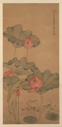 Lotus rouge et poisson