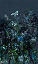 Tropiques sombres