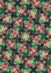 Palmier tropical