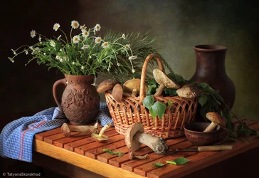 Nature morte aux champignons d