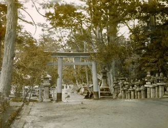 Entrée du sanctuaire des lanternes dans le parc de Kasauga Taisha, Nara, vers 1900 - 1915 (photographie)