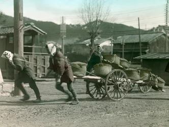 Paysans japonais tirant des sacs de riz sur une charrette, vers 1900 - 1915 (photographie)