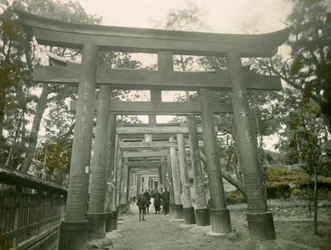 Torii dans le sanctuaire Inari de Kyoto, vers 1900 - 1915 (photographie)