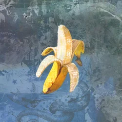 BANANAZ, 2015