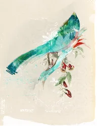 Silhouette d