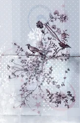 Branches d