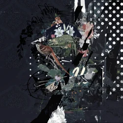 Oiseaux floraux, 2017